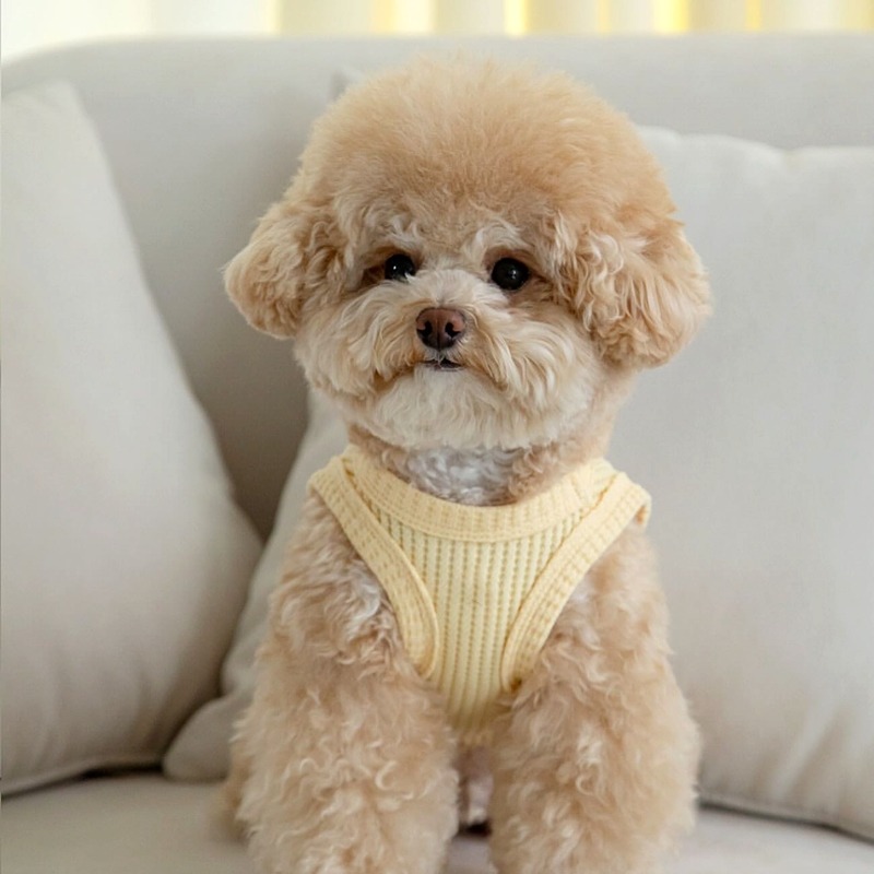 Soft Summer Yellow Clothing - Yellow Waffle Pet Clothes Summer Breathable