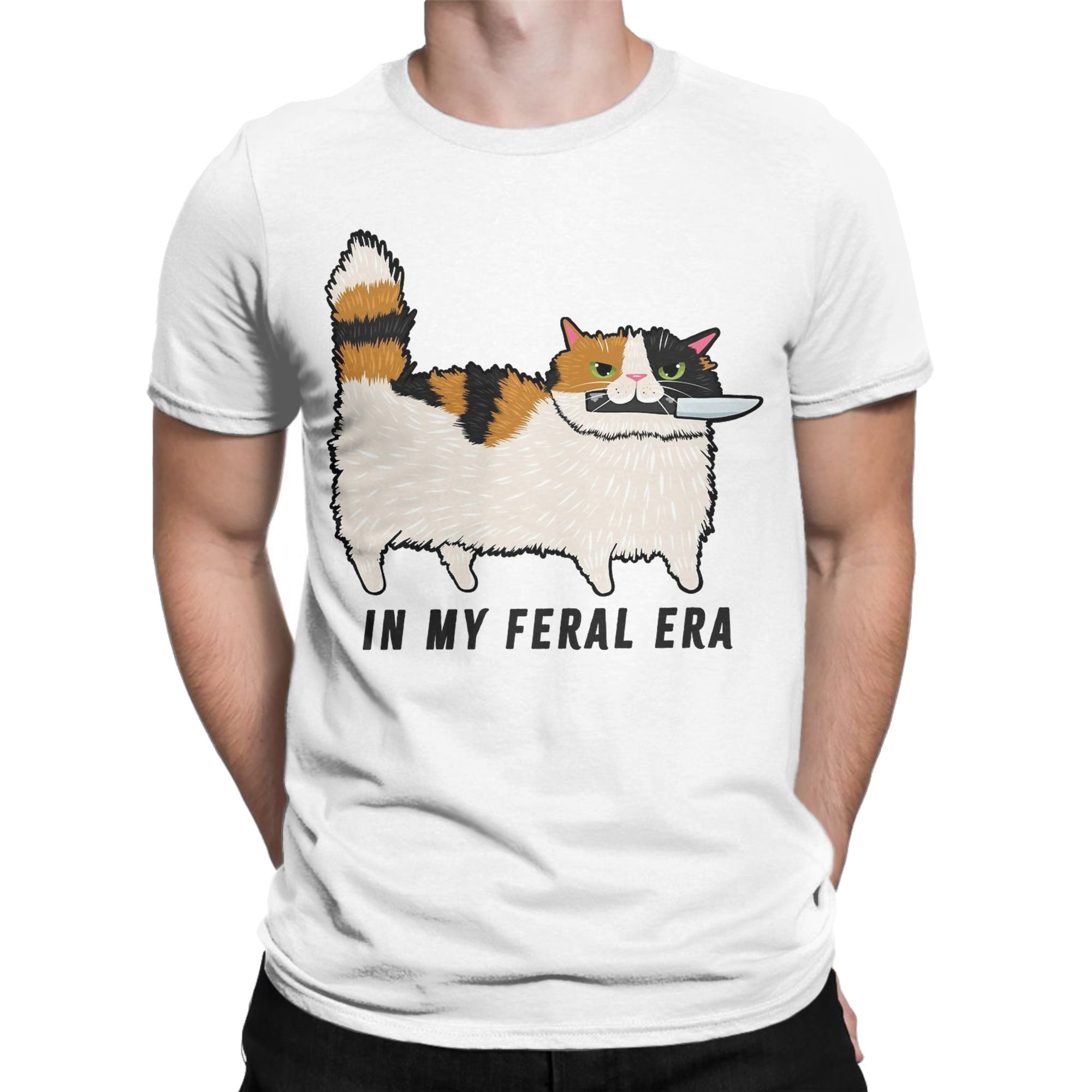 Men's In My Feral Era Calico C - огляд і ціна Summer Clothing Ideas Men