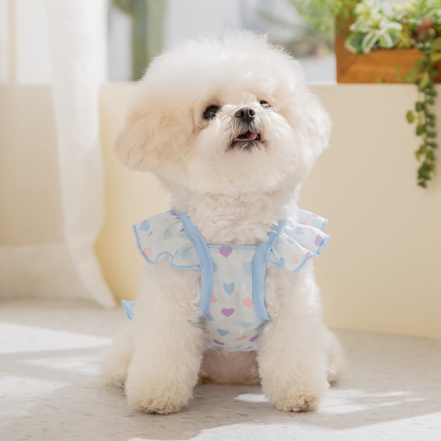 Yellow Love Dog Clothes Summer - огляд і ціна Soft Summer Yellow Clothing