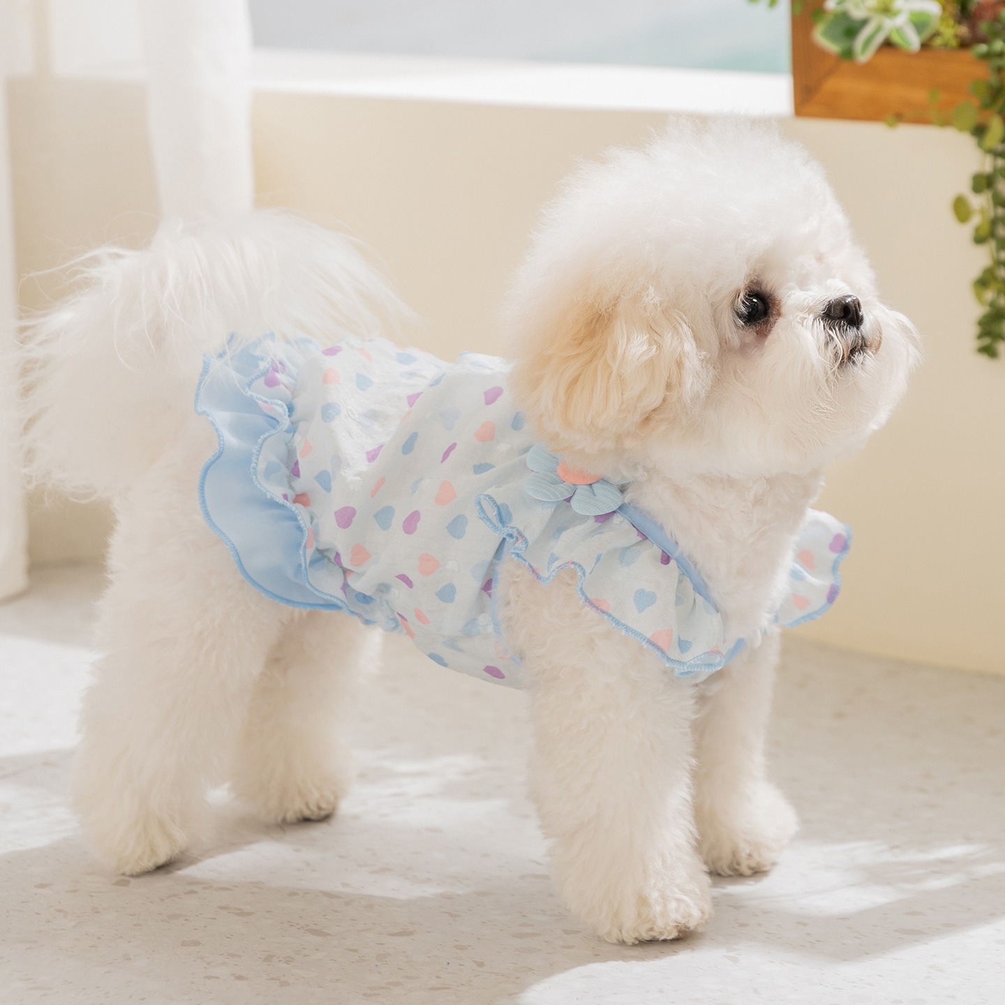 Yellow Love Dog Clothes Summer - огляд і ціна Soft Summer Yellow Clothing